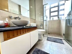 Cairnhill Crest (D9), Condominium #503020651